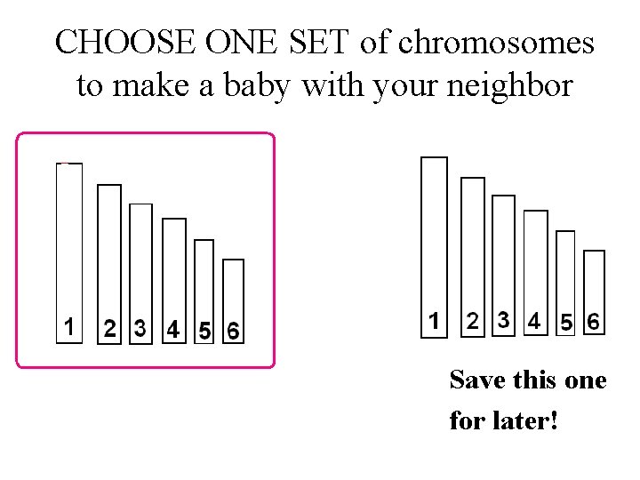 CHOOSE ONE SET of chromosomes to make a baby with your neighbor Save this