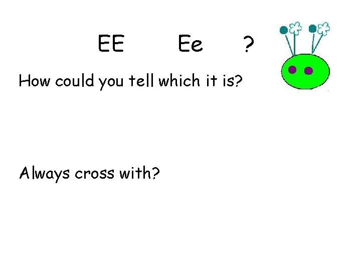 EE Ee ? How could you tell which it is? Always cross with? 