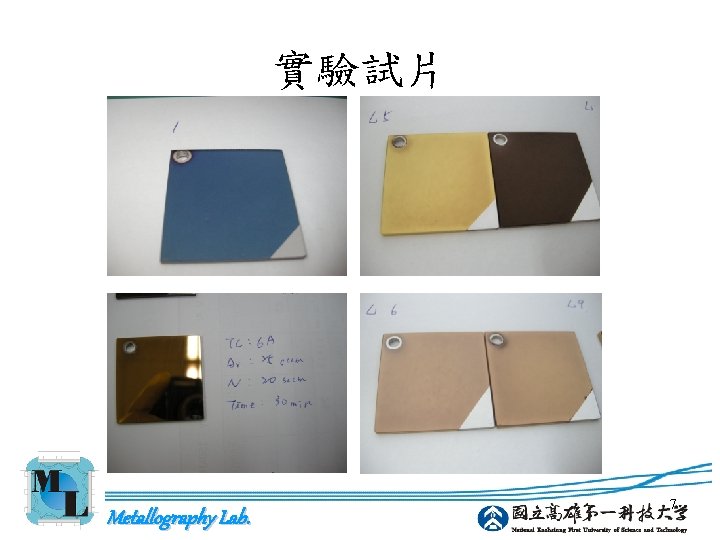 實驗試片 Metallography Lab. 7 