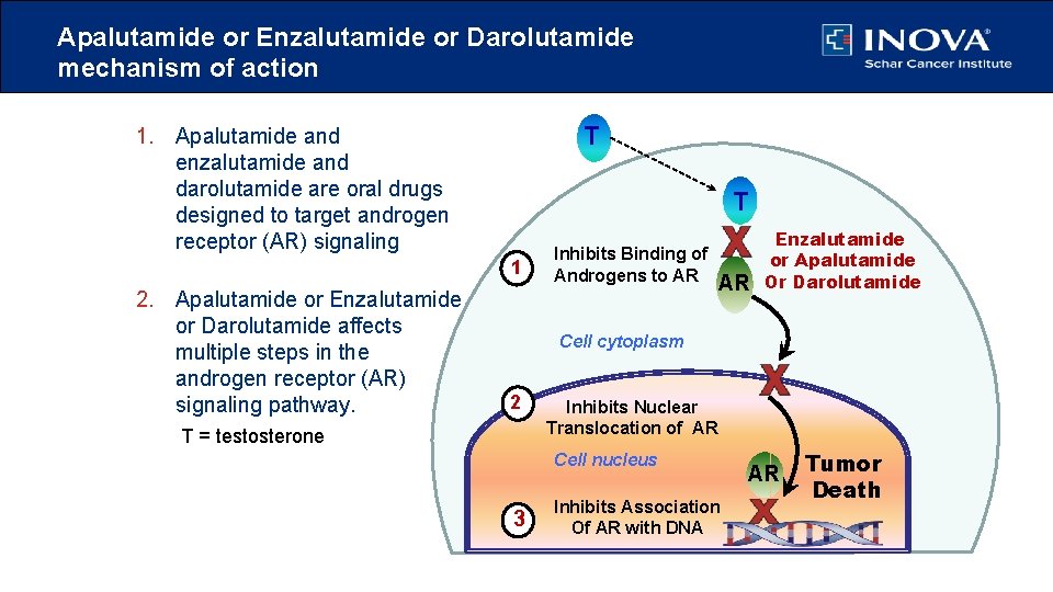 Apalutamide or Enzalutamide or Darolutamide mechanism of action T 1. Apalutamide and enzalutamide and