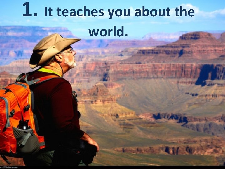 1. It teaches you about the world. 