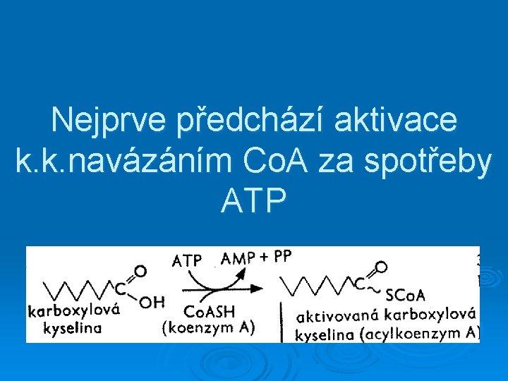 Nejprve předchází aktivace k. k. navázáním Co. A za spotřeby ATP 