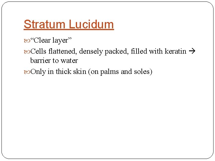 Stratum Lucidum “Clear layer” Cells flattened, densely packed, filled with keratin barrier to water