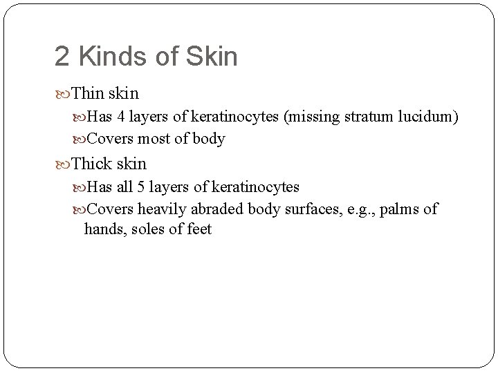 2 Kinds of Skin Thin skin Has 4 layers of keratinocytes (missing stratum lucidum)