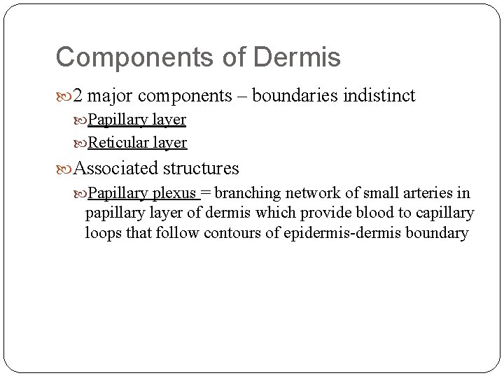 Components of Dermis 2 major components – boundaries indistinct Papillary layer Reticular layer Associated