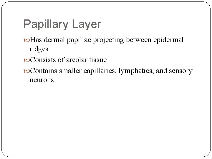 Papillary Layer Has dermal papillae projecting between epidermal ridges Consists of areolar tissue Contains