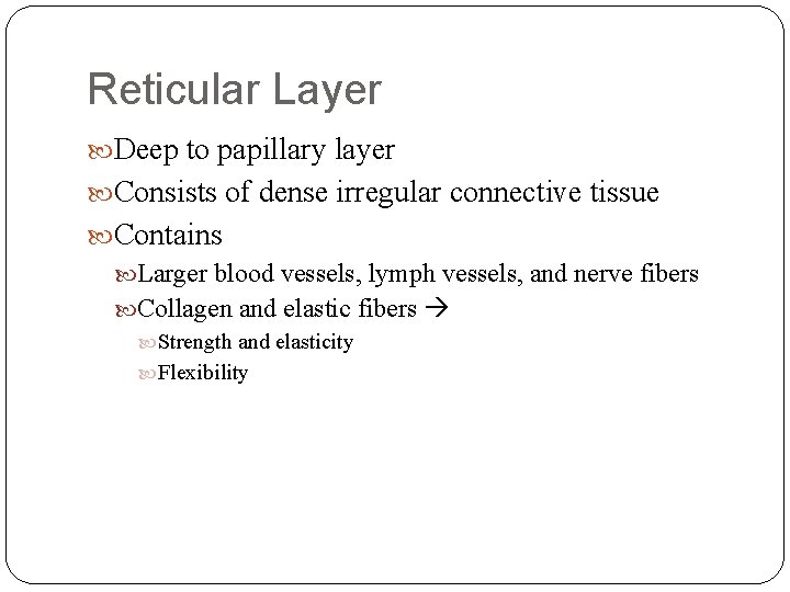 Reticular Layer Deep to papillary layer Consists of dense irregular connective tissue Contains Larger