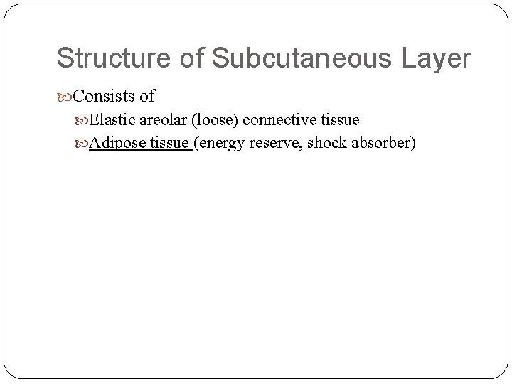 Structure of Subcutaneous Layer Consists of Elastic areolar (loose) connective tissue Adipose tissue (energy
