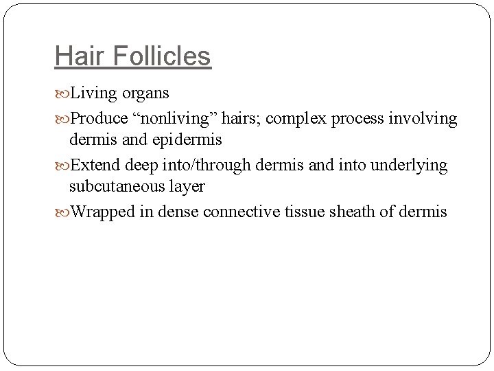 Hair Follicles Living organs Produce “nonliving” hairs; complex process involving dermis and epidermis Extend