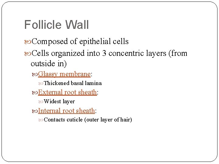Follicle Wall Composed of epithelial cells Cells organized into 3 concentric layers (from outside