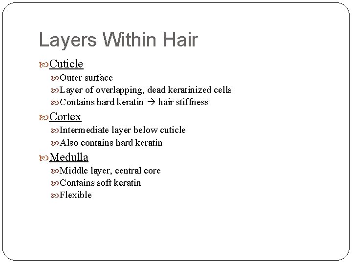 Layers Within Hair Cuticle Outer surface Layer of overlapping, dead keratinized cells Contains hard