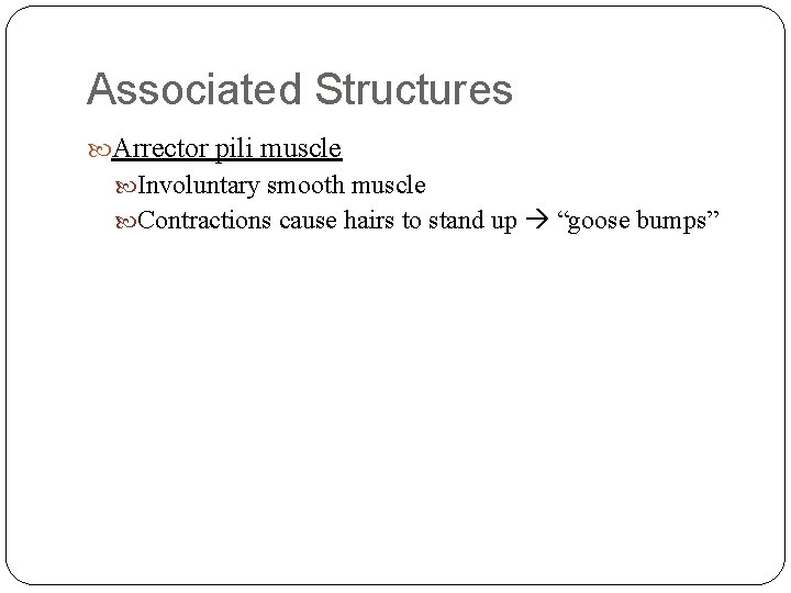 Associated Structures Arrector pili muscle Involuntary smooth muscle Contractions cause hairs to stand up