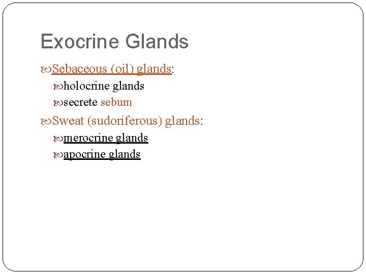Exocrine Glands Sebaceous (oil) glands: holocrine glands secrete sebum Sweat (sudoriferous) glands: merocrine glands