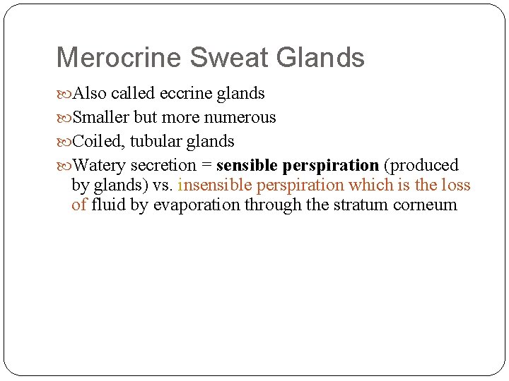 Merocrine Sweat Glands Also called eccrine glands Smaller but more numerous Coiled, tubular glands