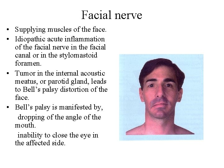 Facial nerve • Supplying muscles of the face. • Idiopathic acute inflammation of the Facial nerve • Supplying muscles of the face. • Idiopathic acute inflammation of the