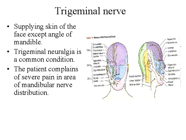 Trigeminal nerve • Supplying skin of the face except angle of mandible. • Trigeminal Trigeminal nerve • Supplying skin of the face except angle of mandible. • Trigeminal