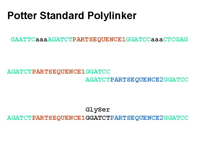 Potter Standard Polylinker GAATTCaaa. AGATCTPARTSEQUENCE 1 GGATCCaaa. CTCGAG AGATCTPARTSEQUENCE 1 GGATCC AGATCTPARTSEQUENCE 2 GGATCC
