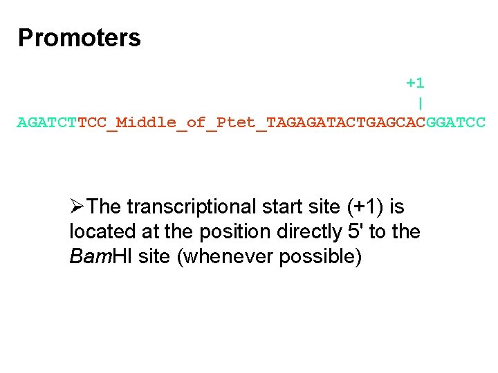 Promoters +1 | AGATCTTCC_Middle_of_Ptet_TAGAGATACTGAGCACGGATCC ØThe transcriptional start site (+1) is located at the position