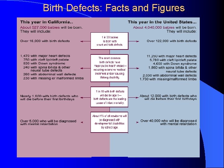 Birth Defects: Facts and Figures 