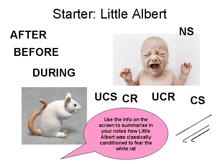 Starter: Little Albert NS AFTER BEFORE DURING UCS CR Use the info on the