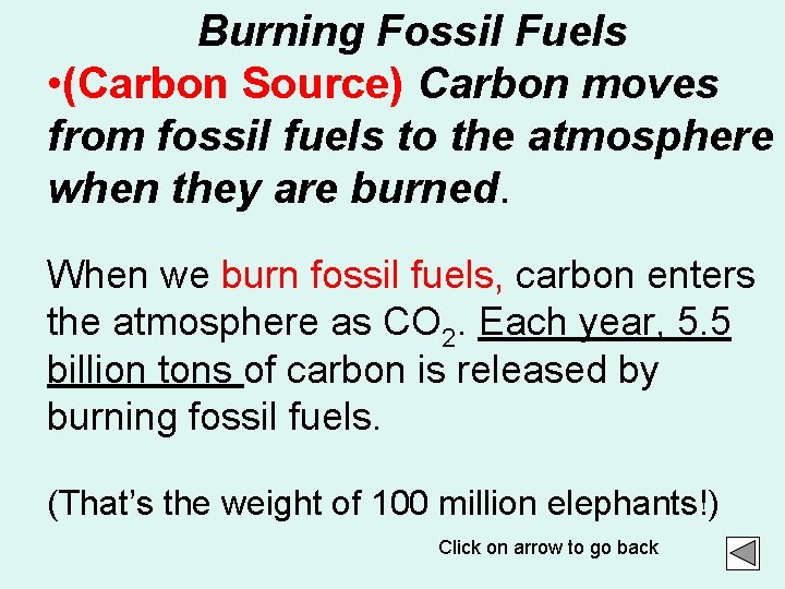 The Carbon Cycle The movement of carbon between