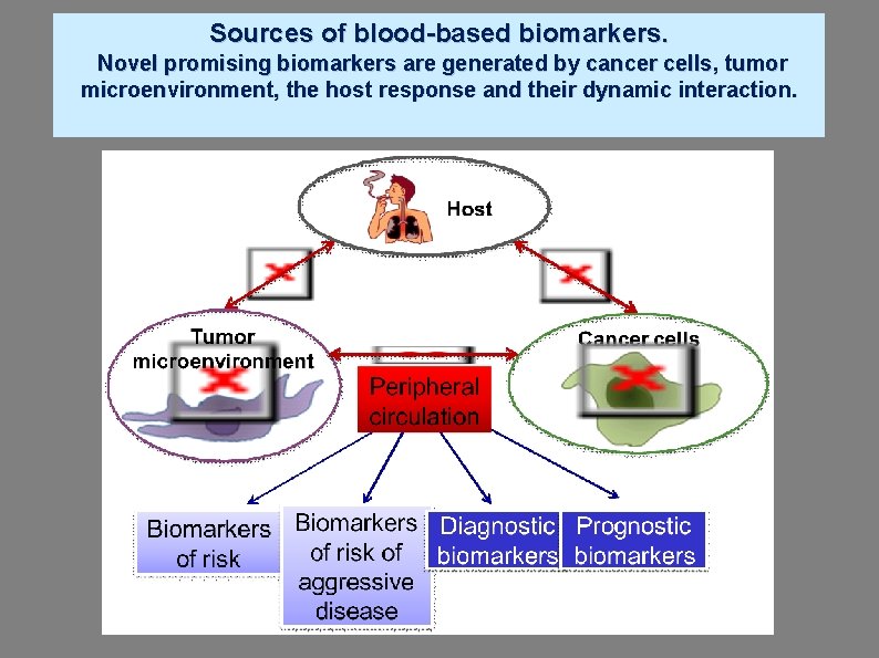 Sources of blood-based biomarkers. Novel promising biomarkers are generated by cancer cells, tumor microenvironment,