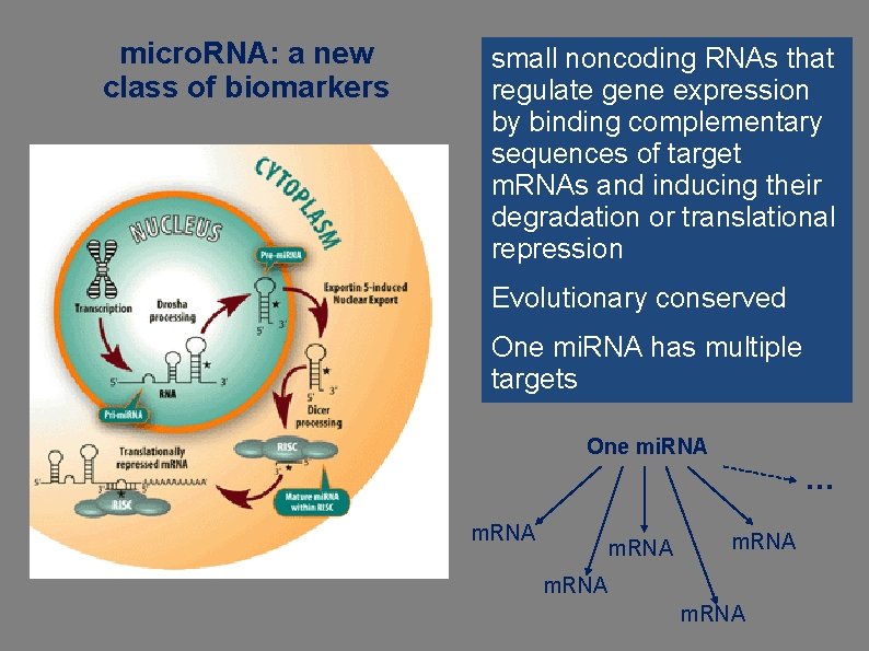 micro. RNA: a new class of biomarkers small noncoding RNAs that regulate gene expression