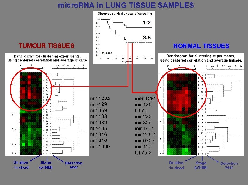 micro. RNA in LUNG TISSUE SAMPLES TUMOUR TISSUES NORMAL TISSUES 