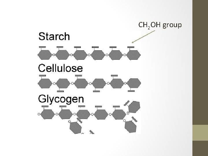 CH 2 OH group 