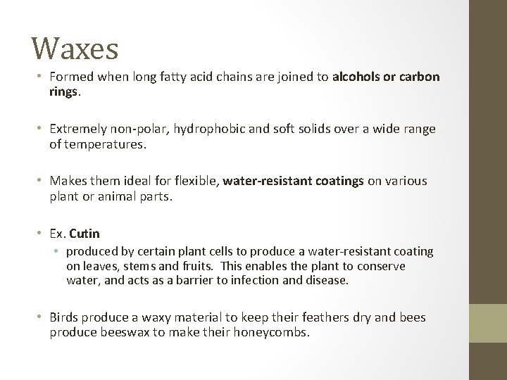 Waxes • Formed when long fatty acid chains are joined to alcohols or carbon