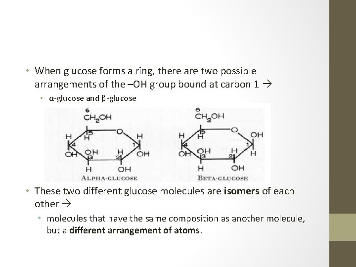  • When glucose forms a ring, there are two possible arrangements of the