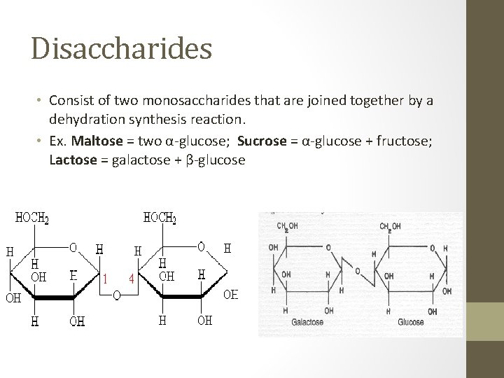 Disaccharides • Consist of two monosaccharides that are joined together by a dehydration synthesis