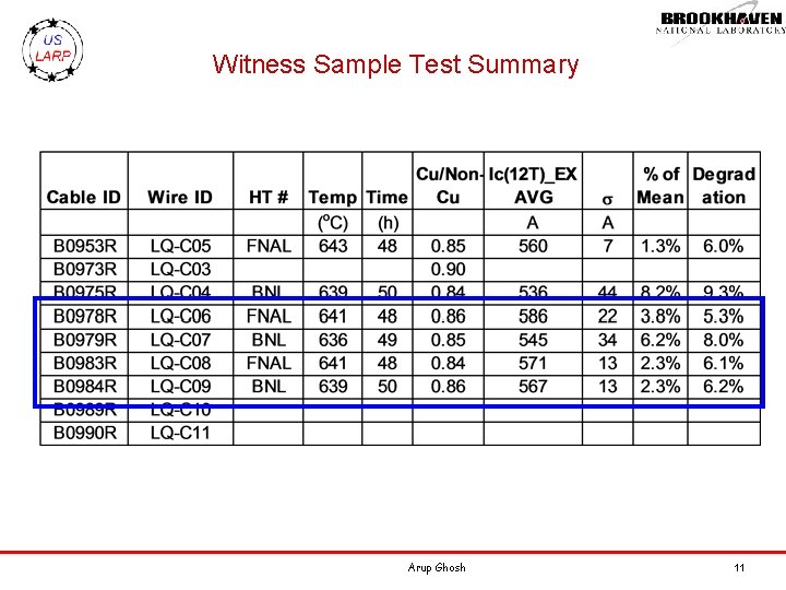 Witness Sample Test Summary Arup Ghosh 11 