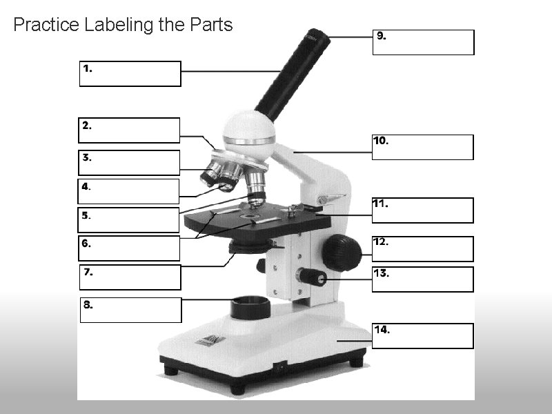 Practice Labeling the Parts 
