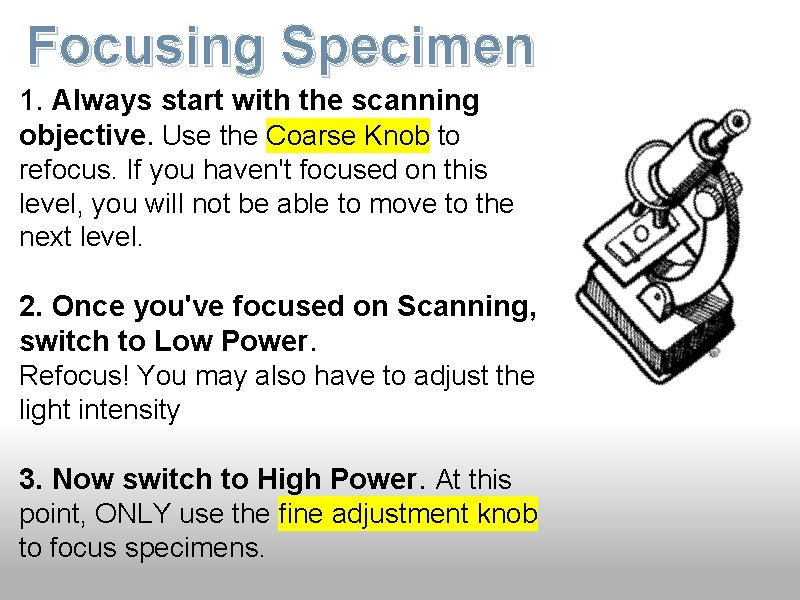 Focusing Specimen 1. Always start with the scanning objective. Use the Coarse Knob to