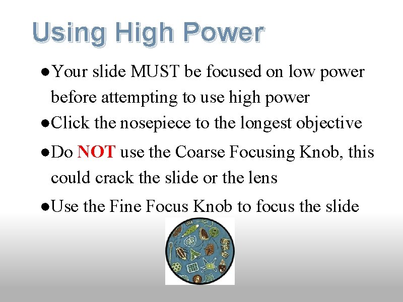 Using High Power ●Your slide MUST be focused on low power before attempting to