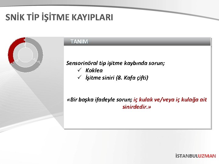 TANIM Sensorinöral tip işitme kaybında sorun; ü Koklea ü İşitme siniri (8. Kafa çifti)