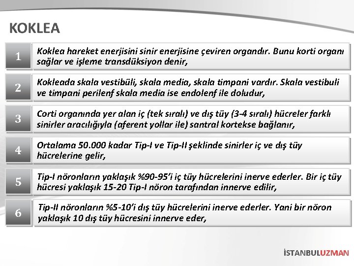 1 Koklea hareket enerjisinir enerjisine çeviren organdır. Bunu korti organı sağlar ve işleme transdüksiyon