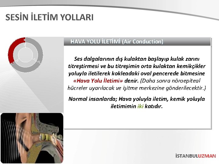 HAVA YOLU İLETİMİ (Air Conduction) Ses dalgalarının dış kulaktan başlayıp kulak zarını titreştirmesi ve