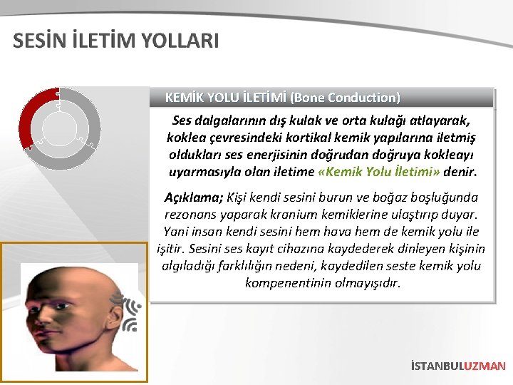 KEMİK YOLU İLETİMİ (Bone Conduction) Ses dalgalarının dış kulak ve orta kulağı atlayarak, koklea