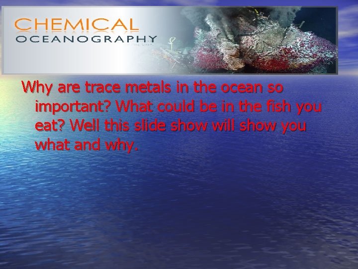Why are trace metals in the ocean so important? What could be in the