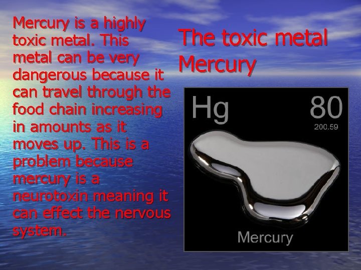 Mercury is a highly toxic metal. This metal can be very dangerous because it