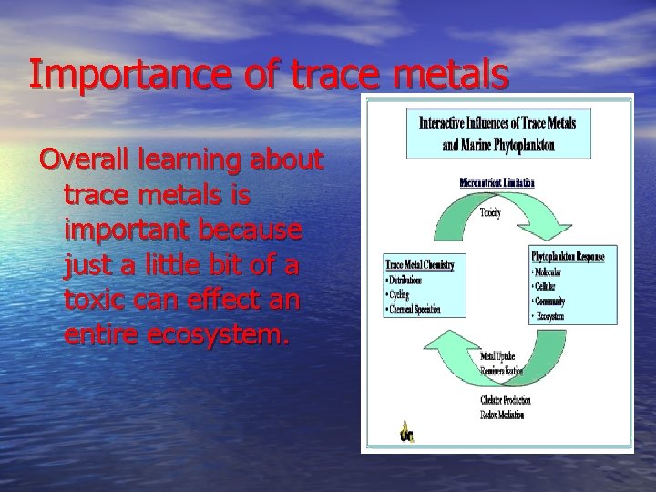 Importance of trace metals Overall learning about trace metals is important because just a