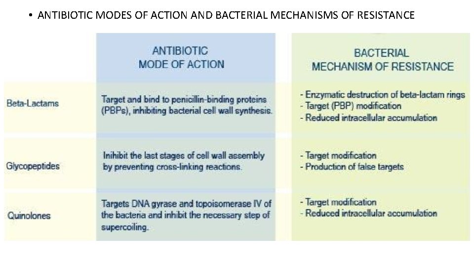  • ANTIBIOTIC MODES OF ACTION AND BACTERIAL MECHANISMS OF RESISTANCE 