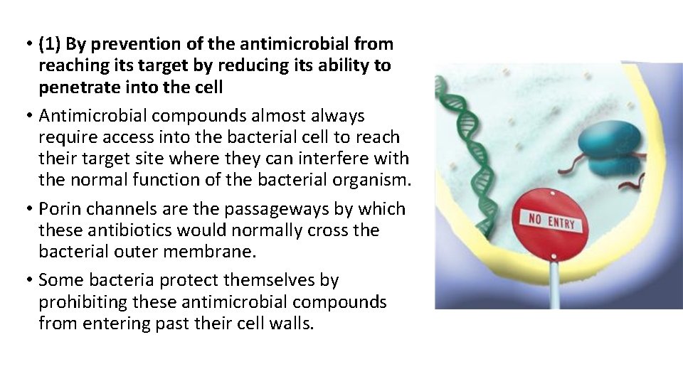  • (1) By prevention of the antimicrobial from reaching its target by reducing