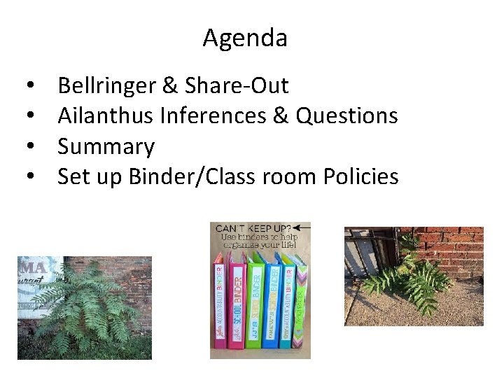 Agenda • • Bellringer & Share-Out Ailanthus Inferences & Questions Summary Set up Binder/Class