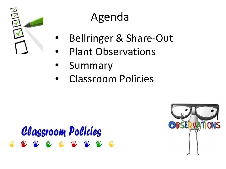 Agenda • • Bellringer & Share-Out Plant Observations Summary Classroom Policies 