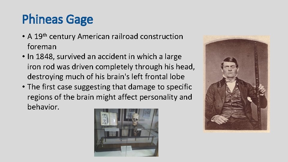 Phineas Gage • A 19 th century American railroad construction foreman • In 1848,