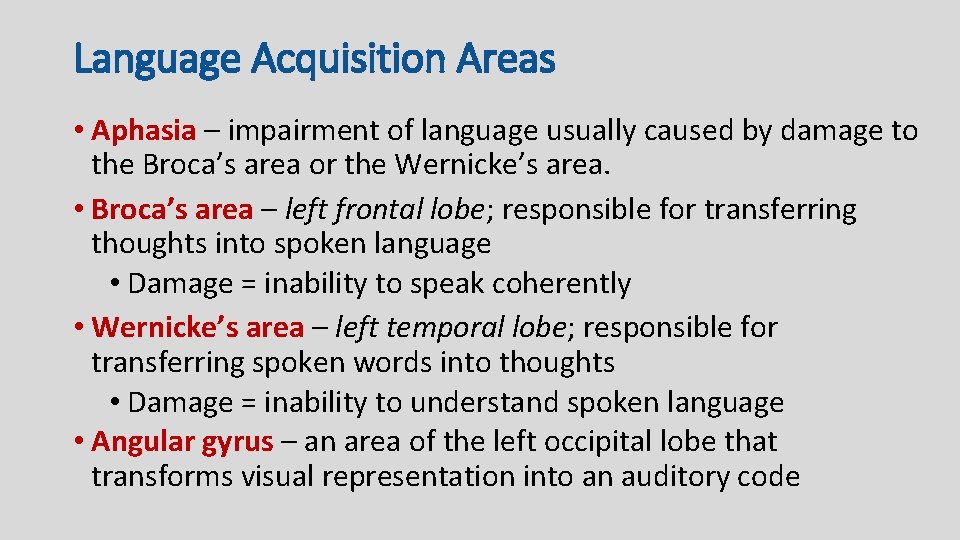 Language Acquisition Areas • Aphasia – impairment of language usually caused by damage to