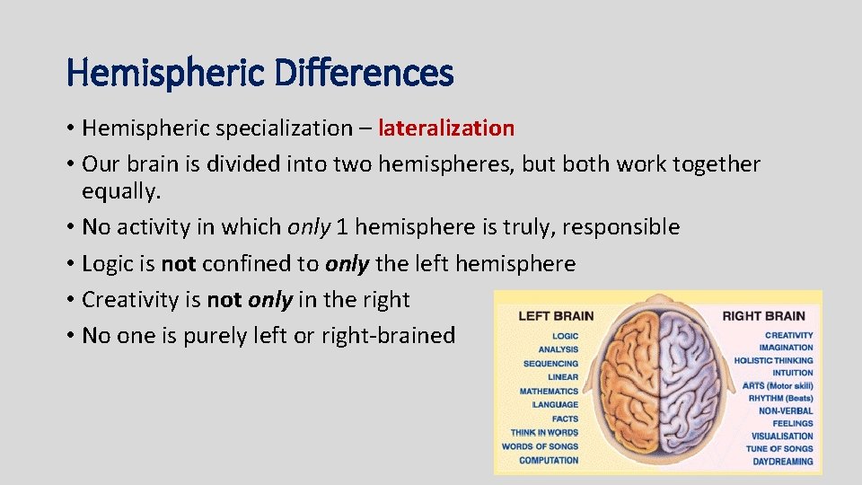 Hemispheric Differences • Hemispheric specialization – lateralization • Our brain is divided into two